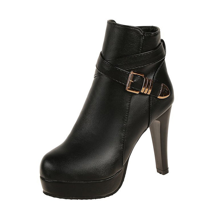 Buckle Strap Platform Block Heel Ankle Boots