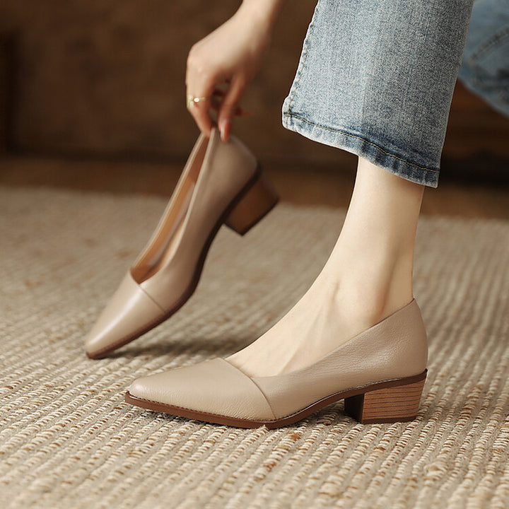 Elegant Pointed Toe Low Heel Pumps