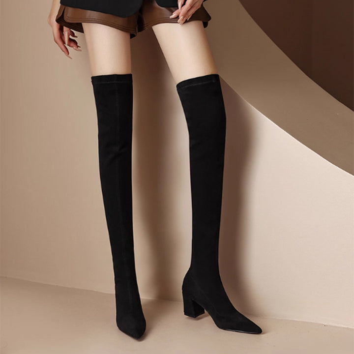 Suede Pointed Toe Over-the-Knee Boots