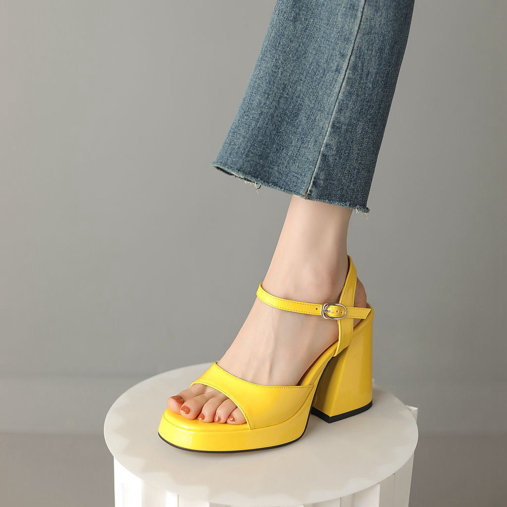 Open Toe Ankle Strap Block Heel Sandals