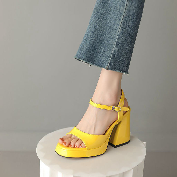 Open Toe Ankle Strap Block Heel Sandals