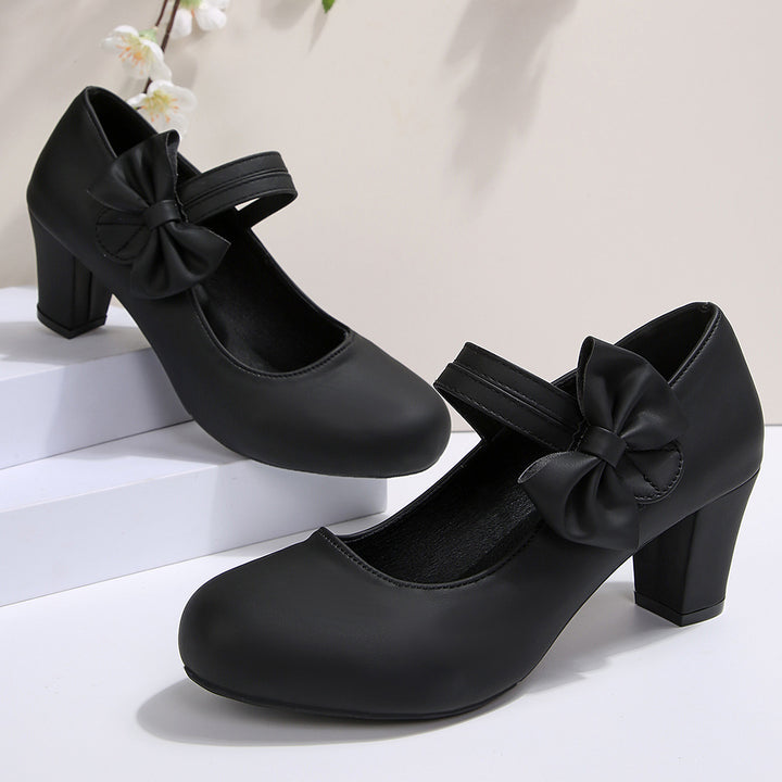 Bow Mary Jane Chunky Heel Shoes