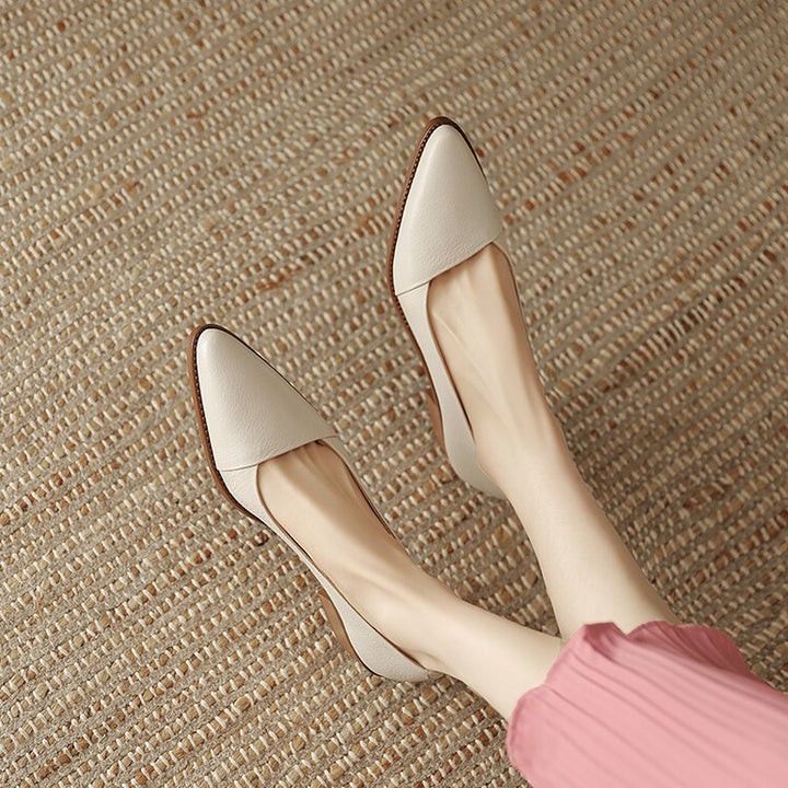 Elegant Pointed Toe Low Heel Pumps