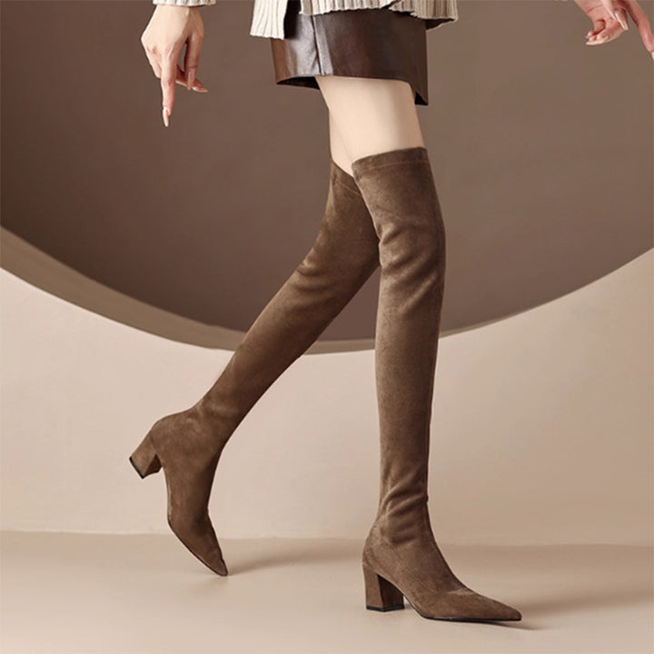 Suede Pointed Toe Over-the-Knee Boots