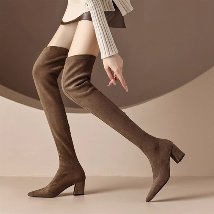 Suede Pointed Toe Over-the-Knee Boots