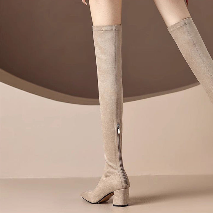 Suede Pointed Toe Over-the-Knee Boots
