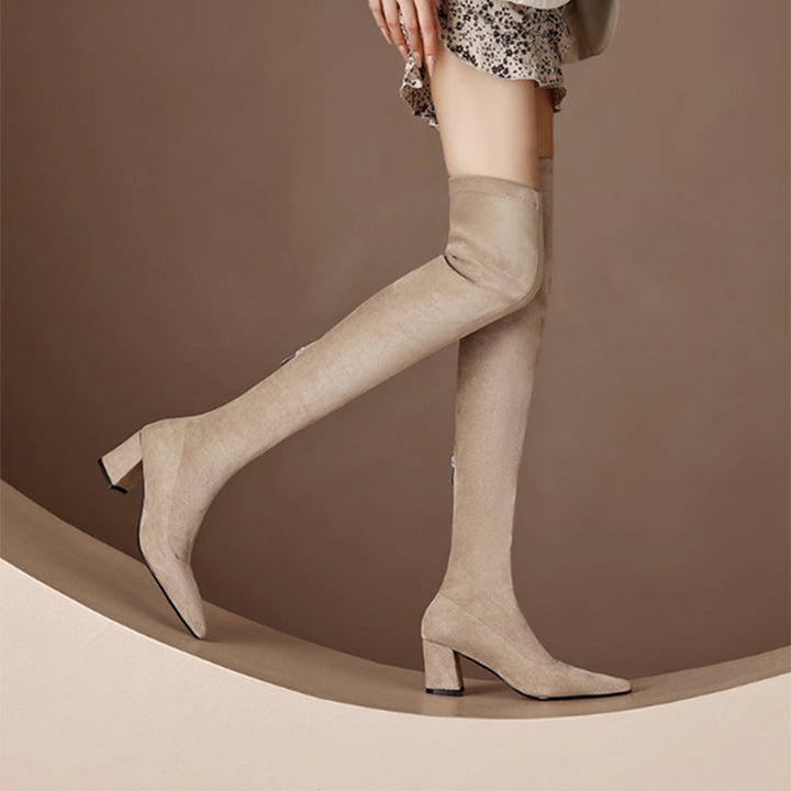 Suede Pointed Toe Over-the-Knee Boots